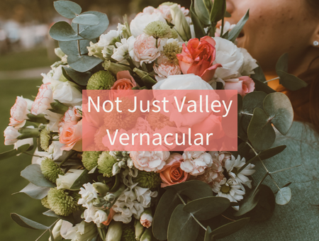 Not Just Valley Vernacular