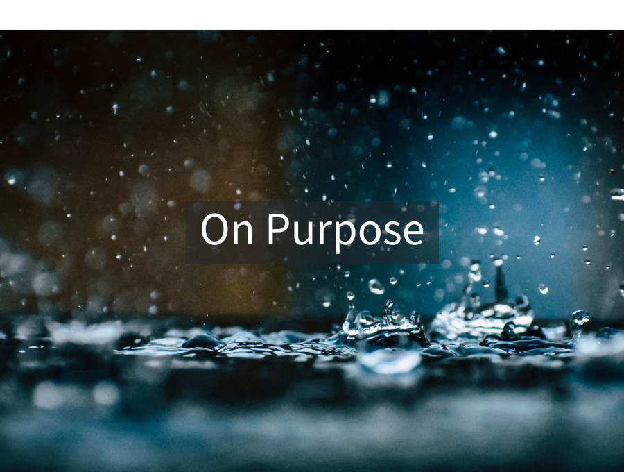 On Purpose