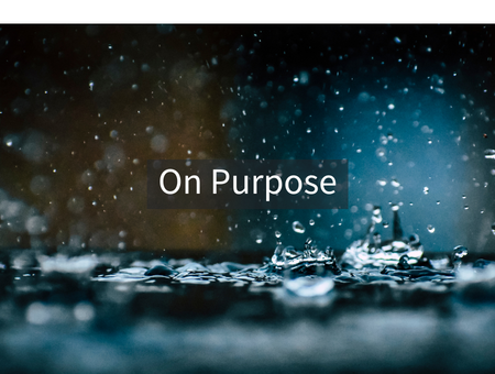 On Purpose