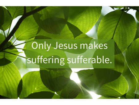 Glory in Our Sufferings