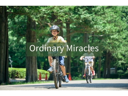 Ordinary Miracles