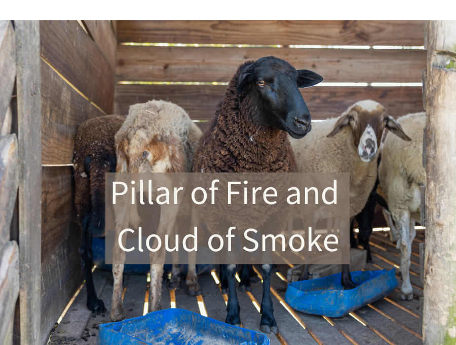 Pillar of Fire and Cloud of Smoke