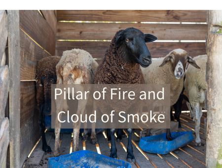 Pillar of Fire and Cloud of Smoke