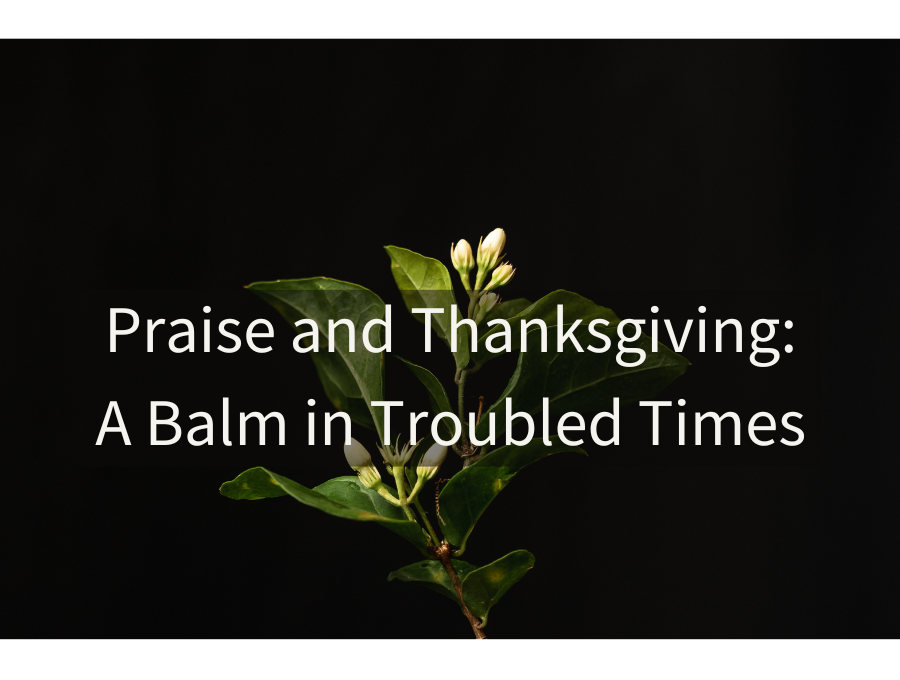 Praise and Thanksgiving: A Balm in Troubled Times
