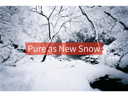 Pure as New Snow