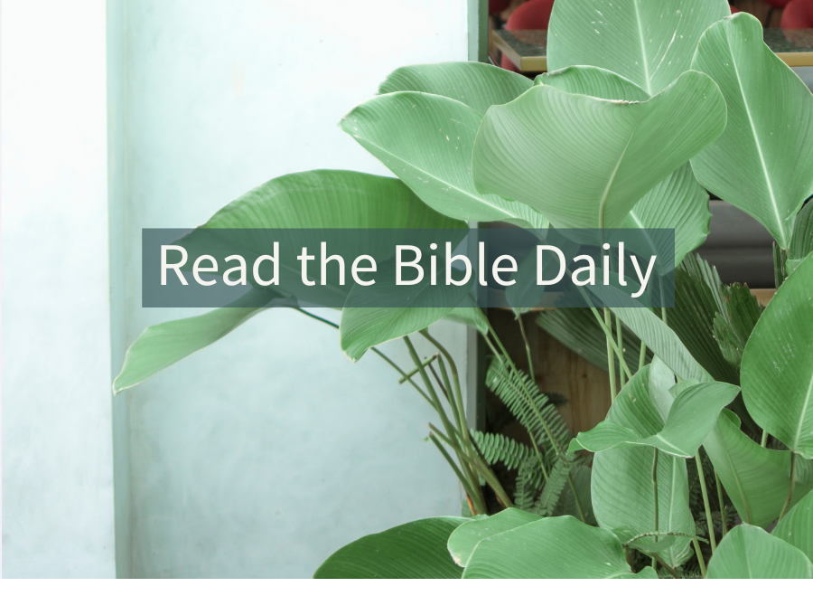 Read the Bible Daily
