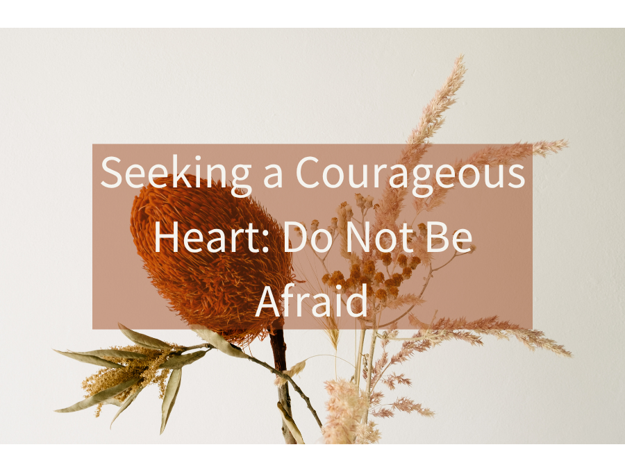 Seeking a Courageous Heart: Do Not Be Afraid