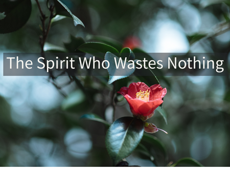 The Spirit Who Wastes Nothing