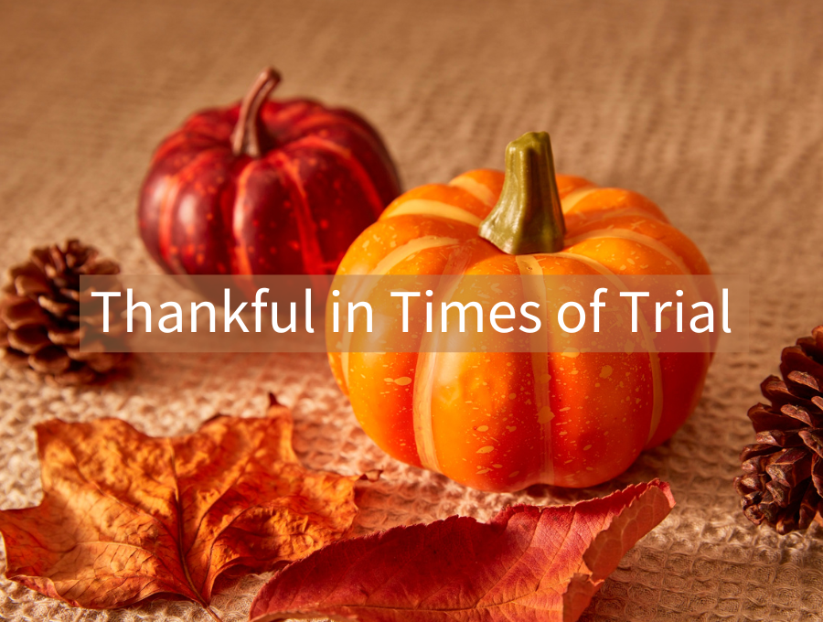 Thankful in Times of Trial