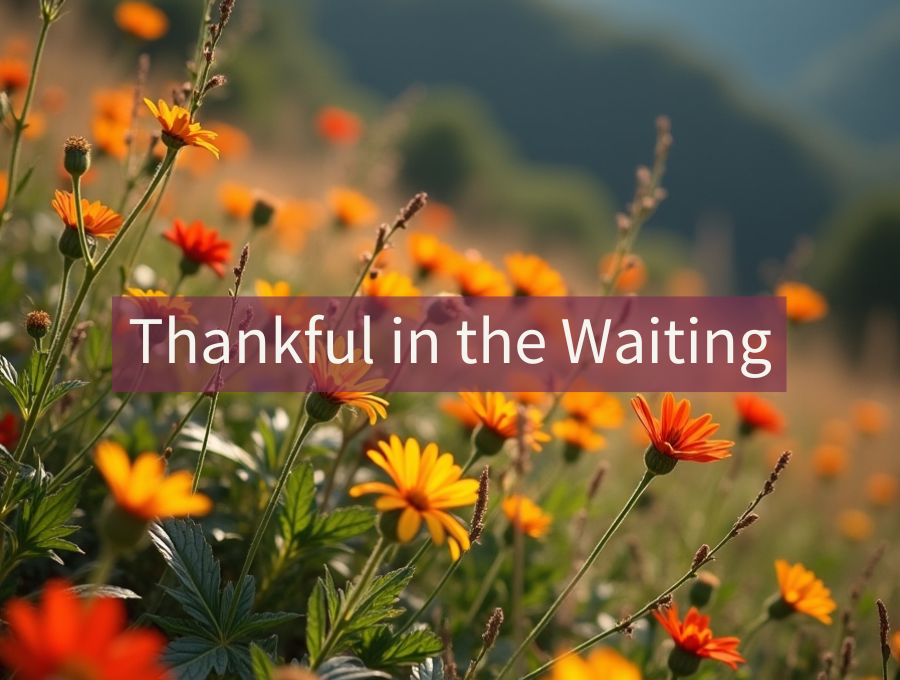 Thankful in the Waiting