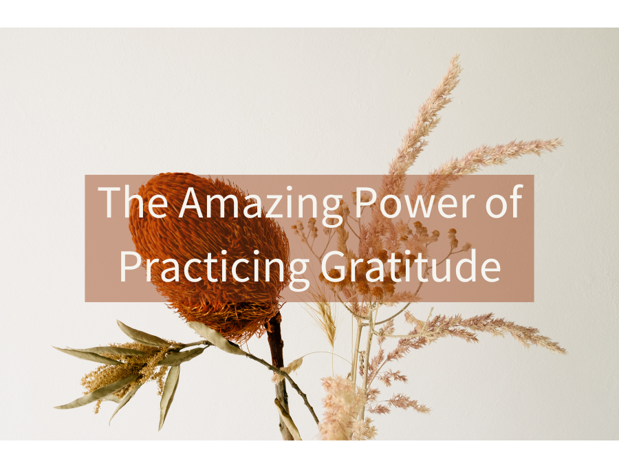 Books on Thankfulness: Unlock Joy — The Amazing Power of Practicing Gratitude