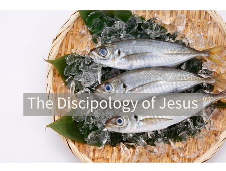 The Discipology of Jesus