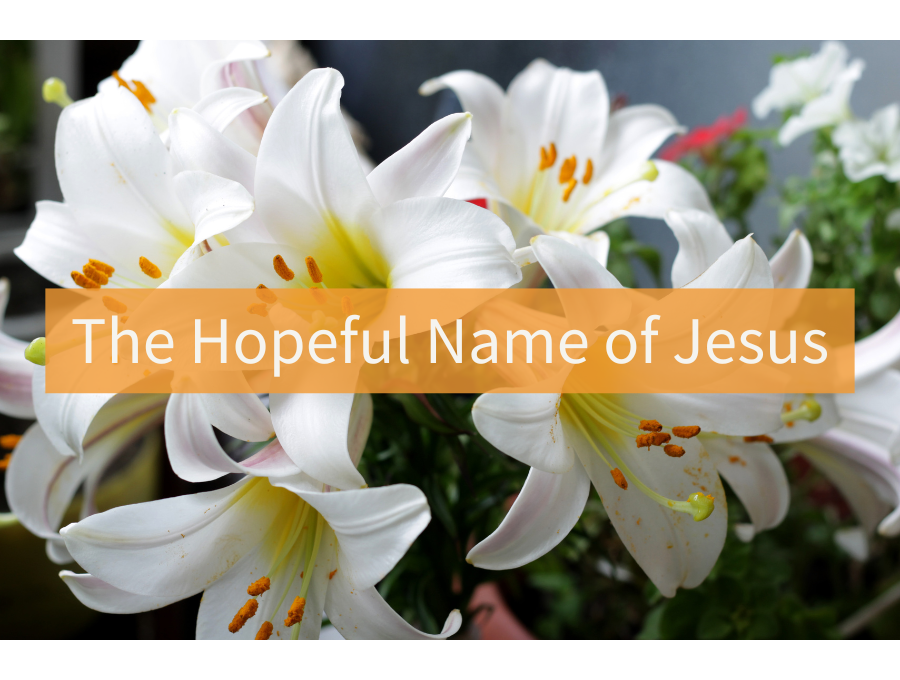 The Hopeful Name of Jesus