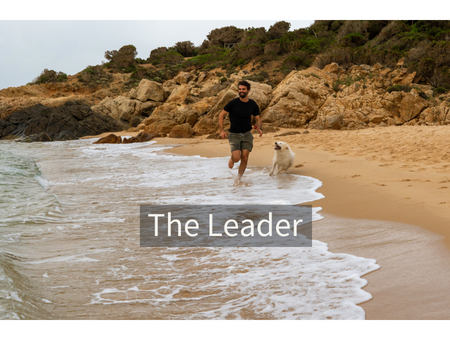 The Leader