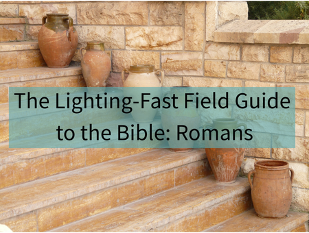 The Lighting-Fast Field Guide to the Bible: Romans