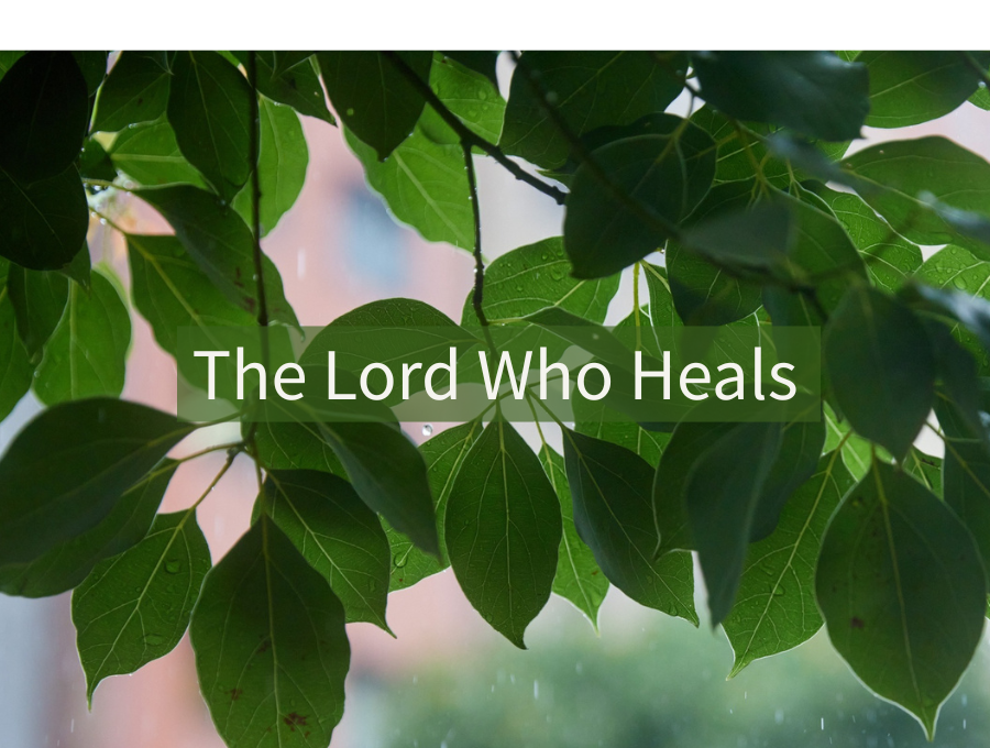The Lord Who Heals