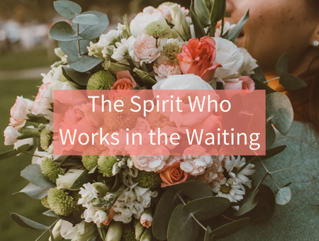 The Spirit Who Works in the Waiting