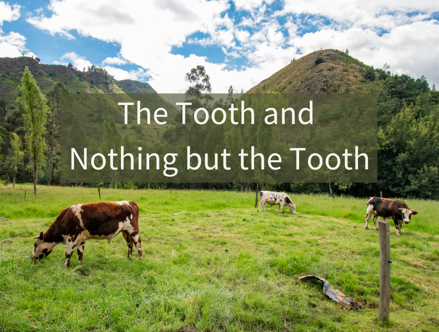 The Tooth and Nothing but the Tooth