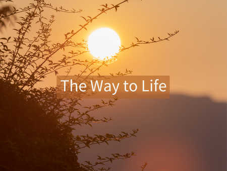 The Way to Life