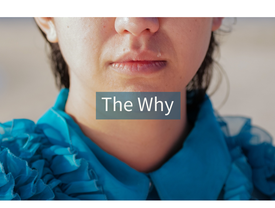 The Why