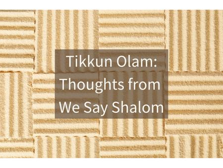 Tikkun Olam: Thoughts from We Say Shalom