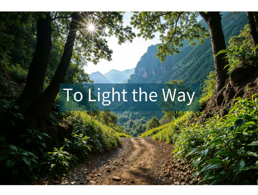 To Light the Way