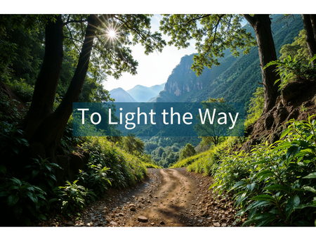 To Light the Way