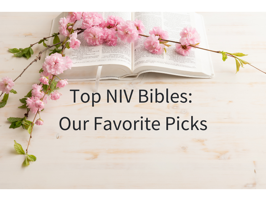 Top NIV Bibles: Our Favorite NIV Bible