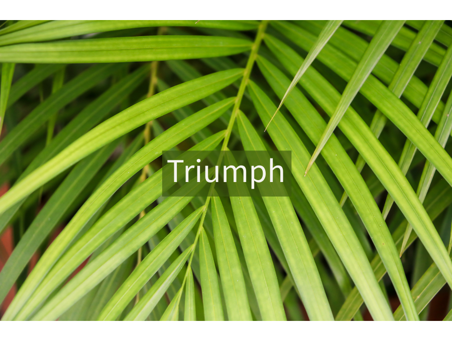 Triumph