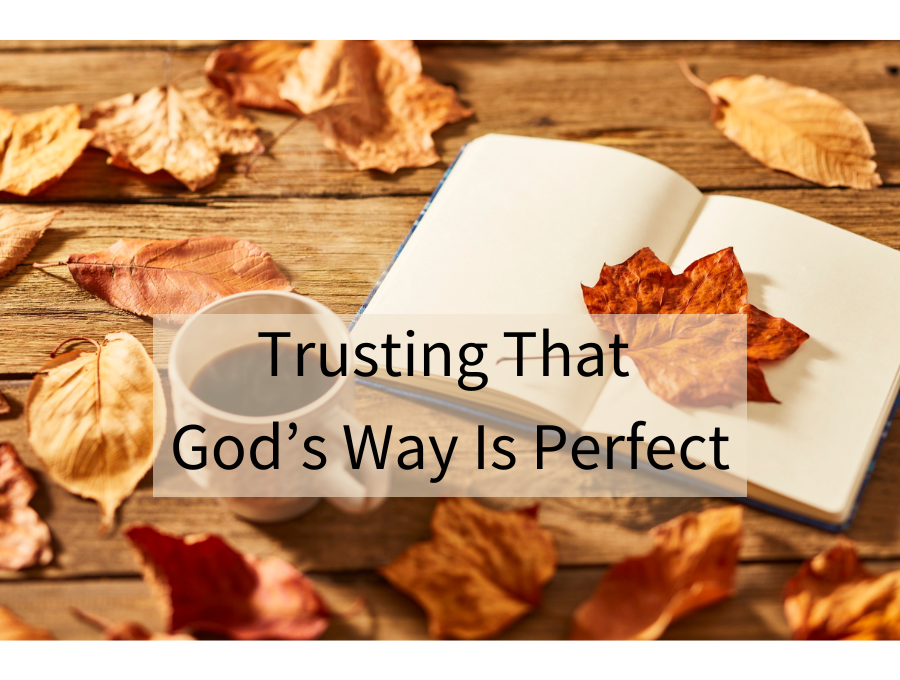 Trusting That God’s Way Is Perfect