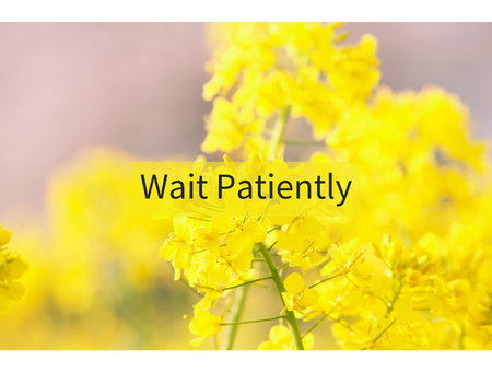 Wait Patiently