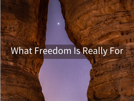 What Freedom Is Really For