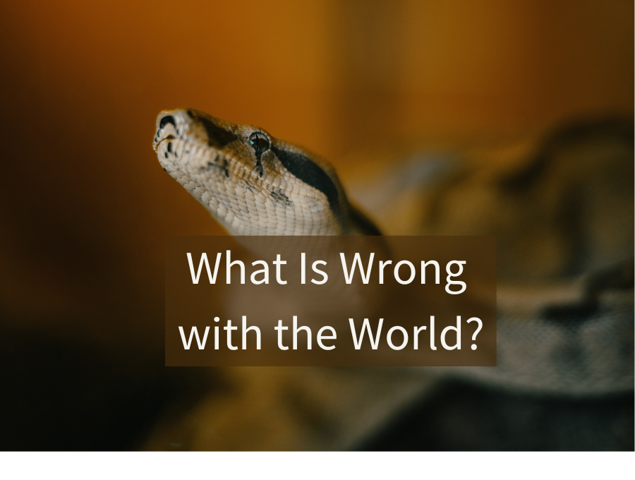 What Is Wrong with the World?