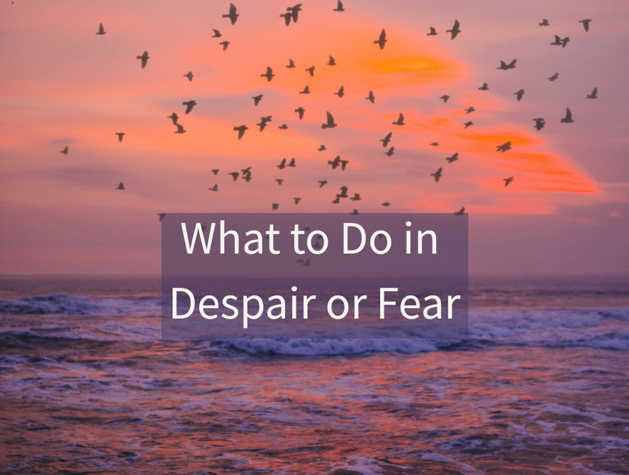 What to Do in Despair or Fear