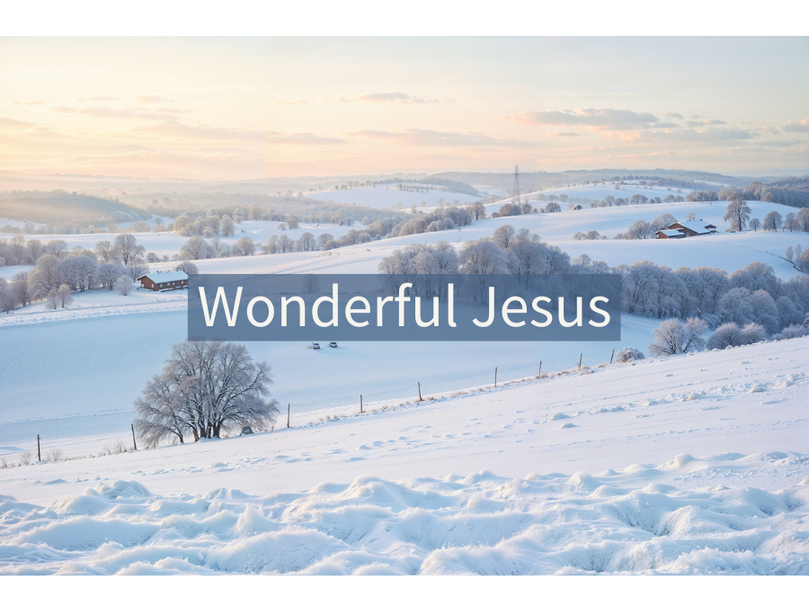 Wonderful Jesus