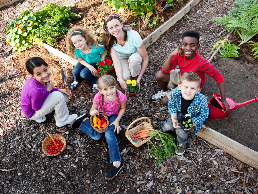 How Does Your Garden Grow