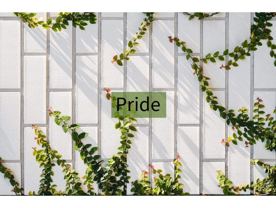 Pride, the First of the Seven Deadly Sins