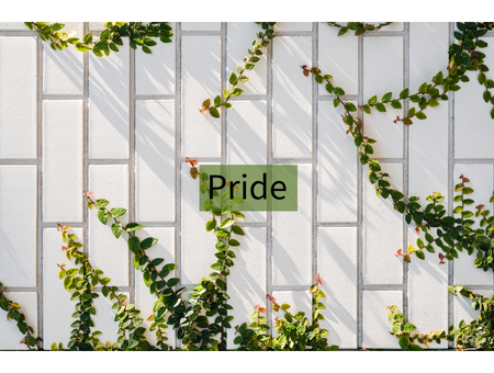 Pride, the First of the Seven Deadly Sins