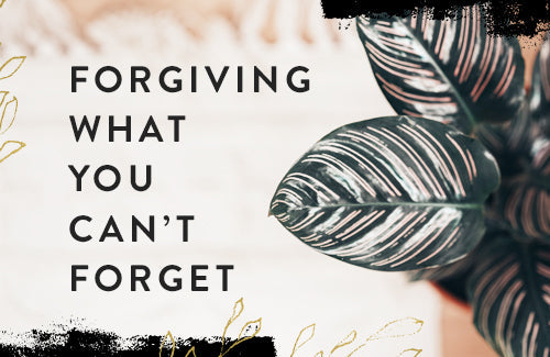 Forgiving What You Can’t Forget Online Bible Study Week Six — This Isn't Easy, But It Is Good