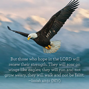 But those who hope in the LORD will renew their strength. They will soar on wings like eagles.