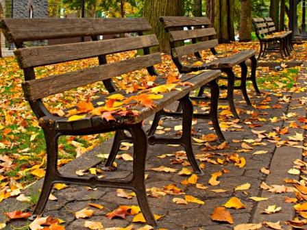 Park Benches on a Fall Day for Space Matters article by Patsy Clairmont from Infinite Grace: The Devotional (Women of Faith)