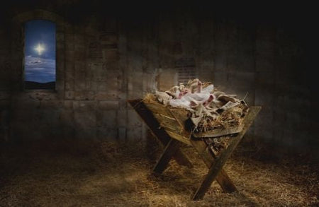 God the Savior: Jesus' Birth and Ministry
