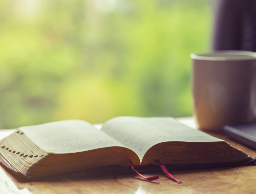 Is a Devotional Bible Right for You?