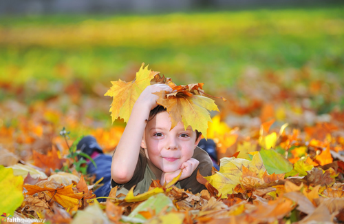Our Favorite Kids' Books for Fall – FaithGateway Store