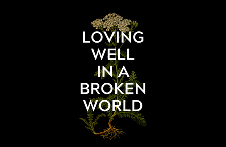 Loving Well in a Broken World: We All Fall Down