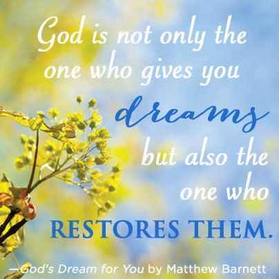 God's Dream For You by Matthew Barnett 9781400320806