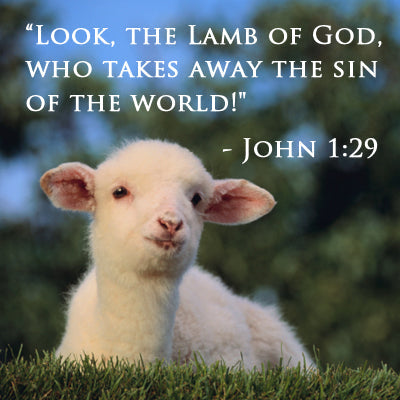 The Lamb of God Who Takes Away the Sin of the World!