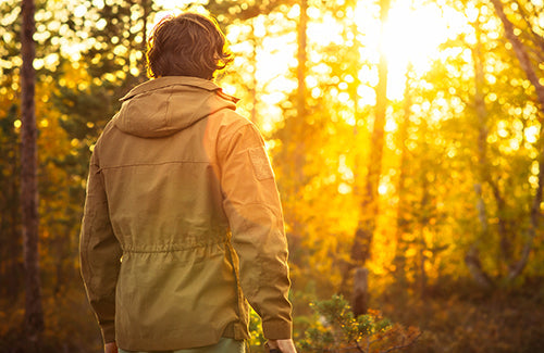 Young Man standing alone in forest outdoor with sunset nature on background Travel Lifestyle and survival concept