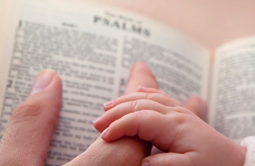 Baby Holding Dad's Finger on Bible,praying the scriptures book cover