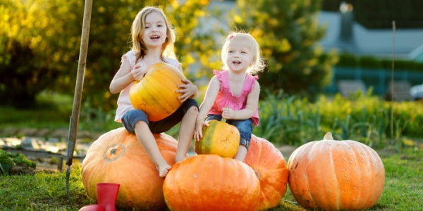 Two little sisters sitting on huge pumpkins,pumpkin patch parable Tommy Nelson Halloween,Two little sisters sitting on huge pumpkins